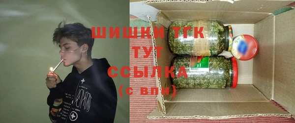 сатива Белокуриха