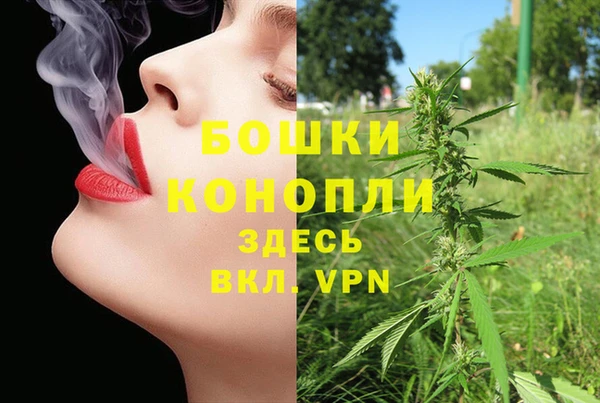 сатива Белокуриха