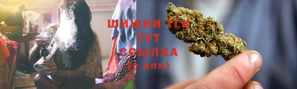 сатива Белокуриха