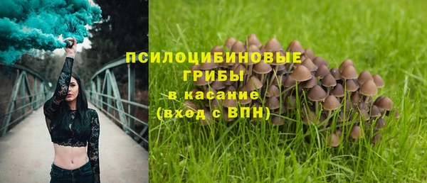 альфа пвп Беломорск
