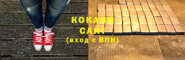 сатива Белокуриха