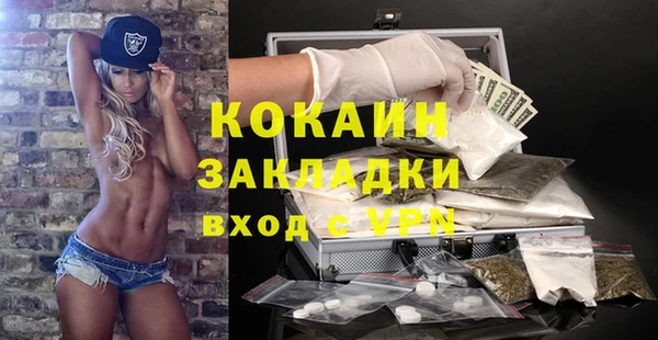сатива Белокуриха