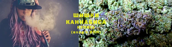 сатива Белокуриха