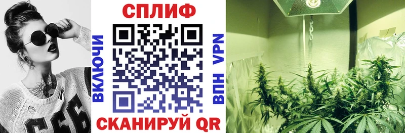 это официальный сайт  Нестеров  omg маркетплейс  Бошки Шишки сатива  где можно купить  